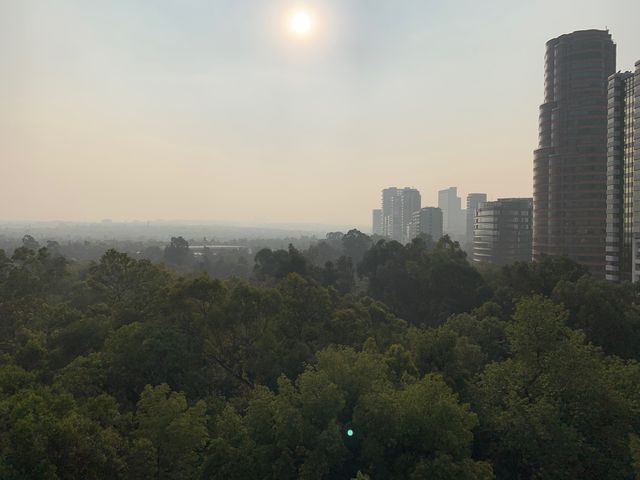 place photo 46