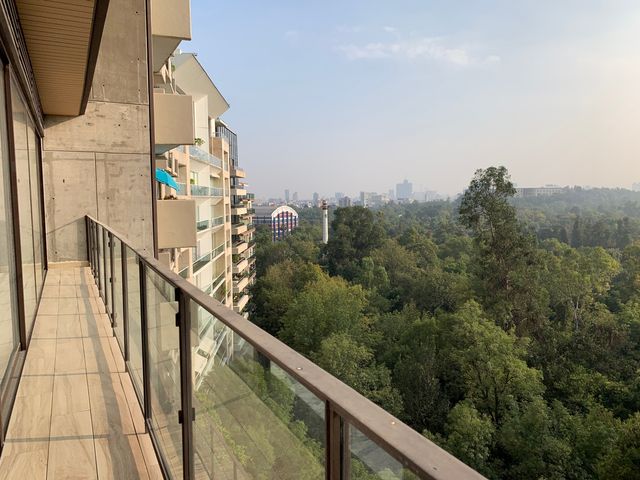 place photo 44