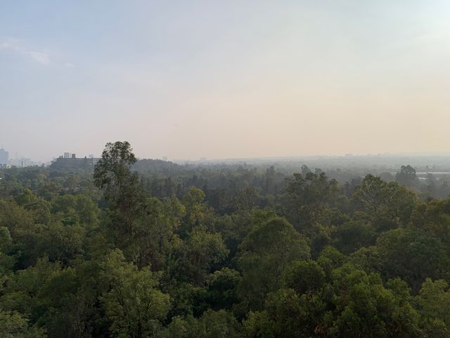 place photo 48