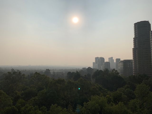 place photo 49