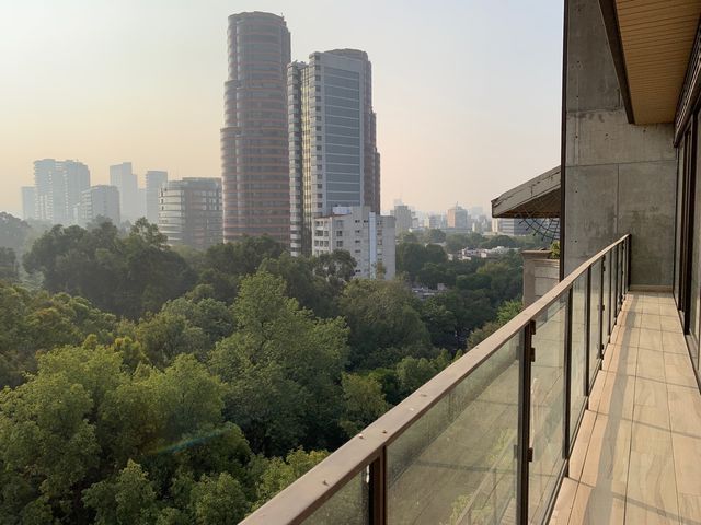 place photo 47