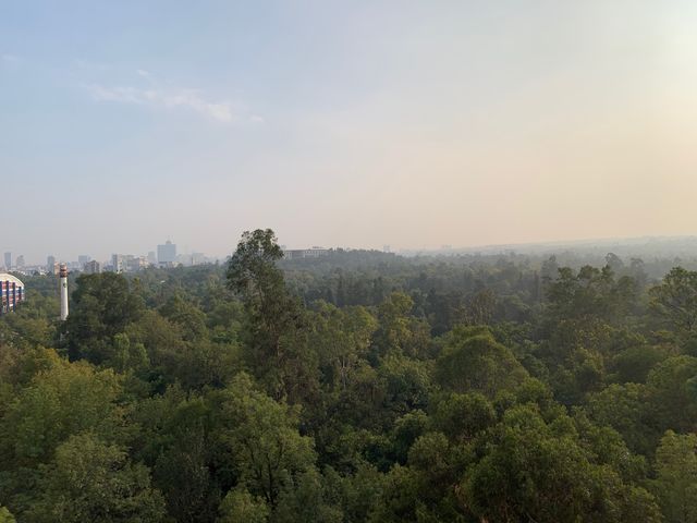 place photo 45