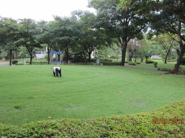 place photo 30