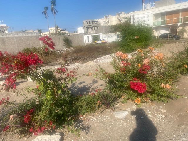 place photo 5