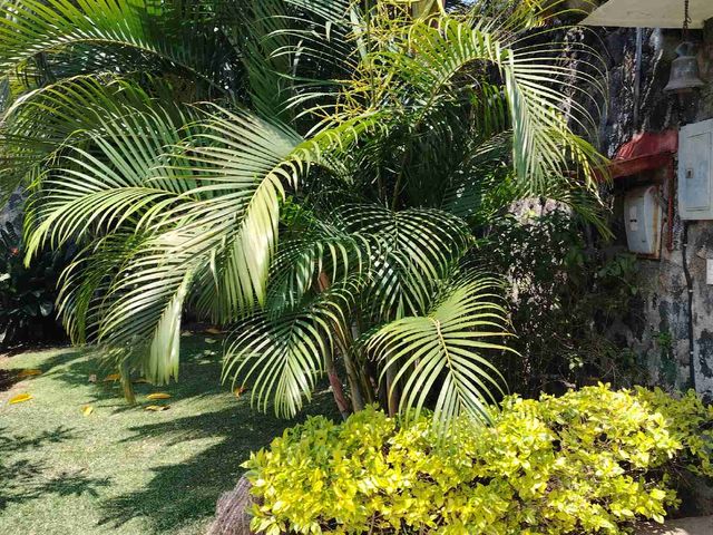 place photo 32