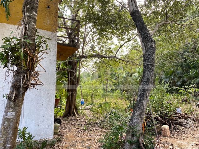 place photo 44
