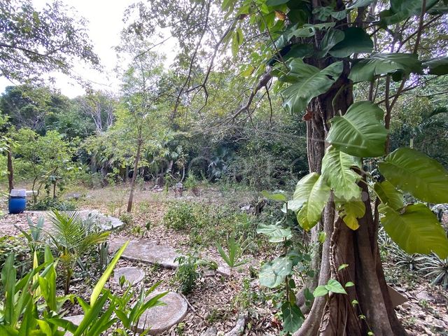 place photo 30