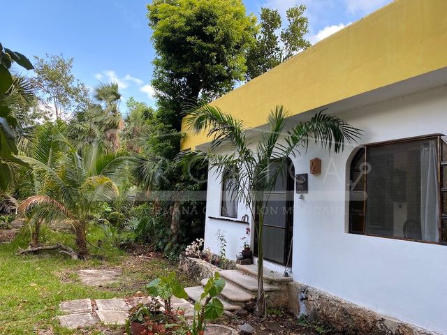 place photo 43