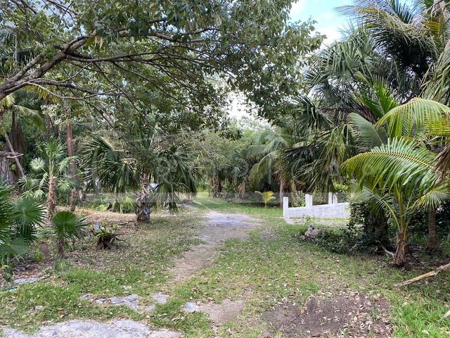 place photo 35
