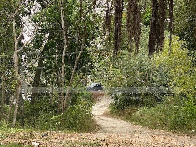 place photo 46