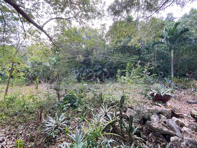 place photo 33