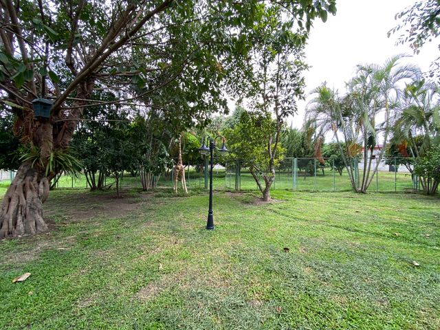 place photo 64