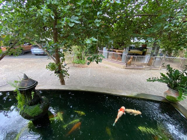 place photo 51