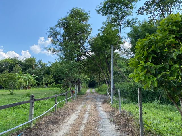 place photo 65