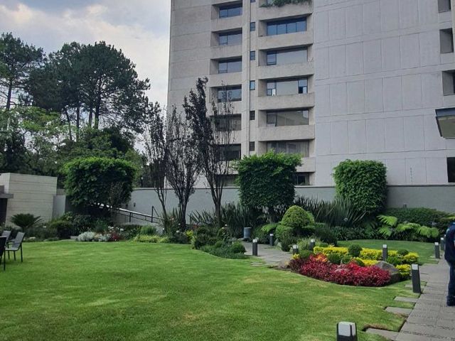place photo 41