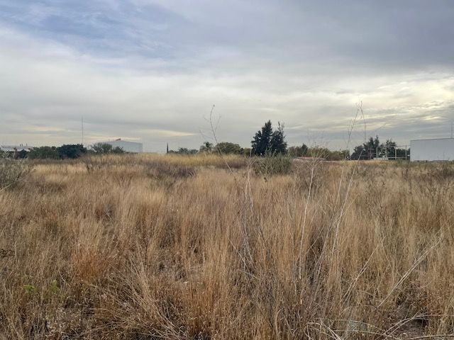place photo 14
