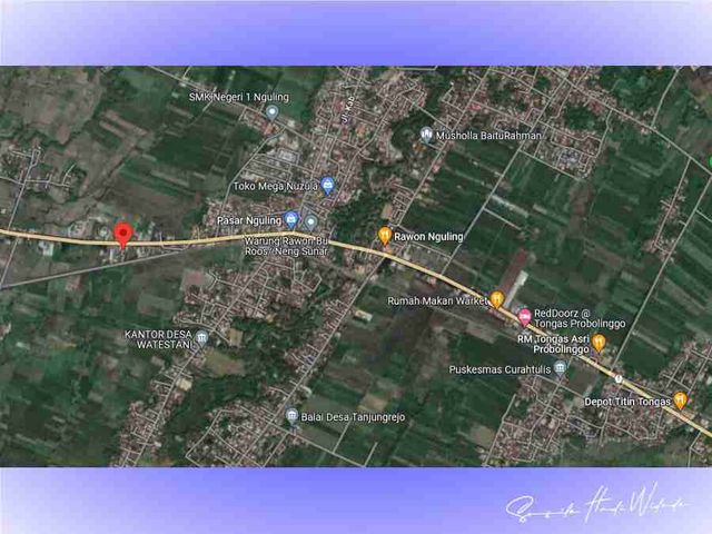 place photo 4