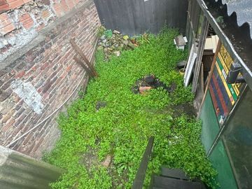 place photo 29