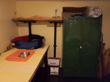 place photo 17