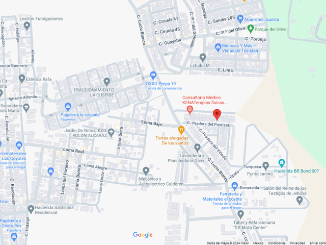 place photo 11