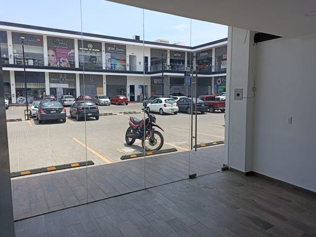 place photo 16