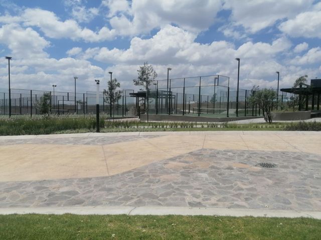place photo 52