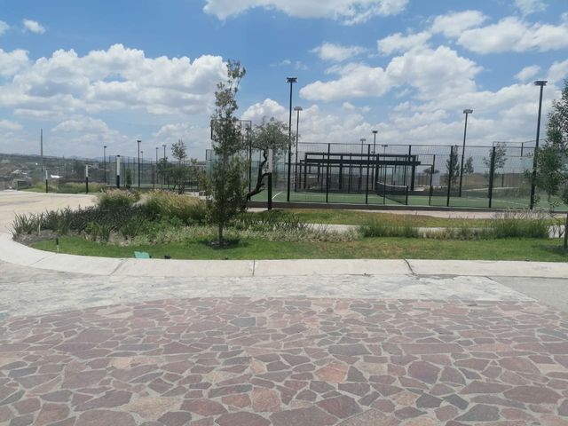 place photo 57
