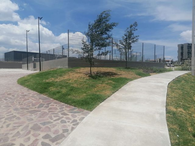 place photo 58