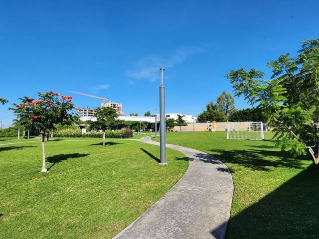 place photo 35