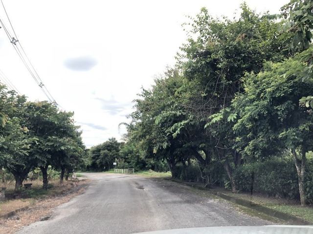 place photo 25