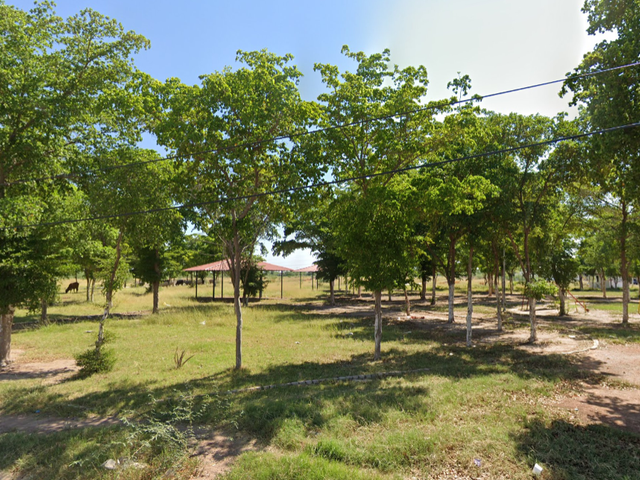 place photo 5