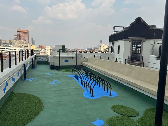 place photo 19