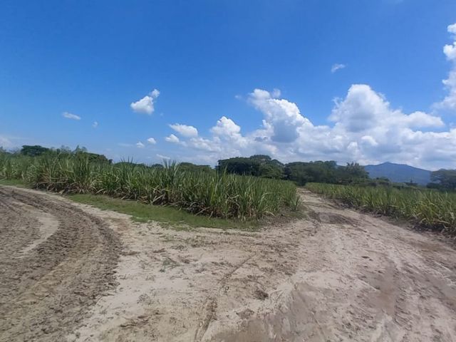 place photo 34