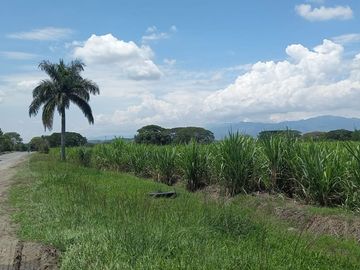 place photo 24