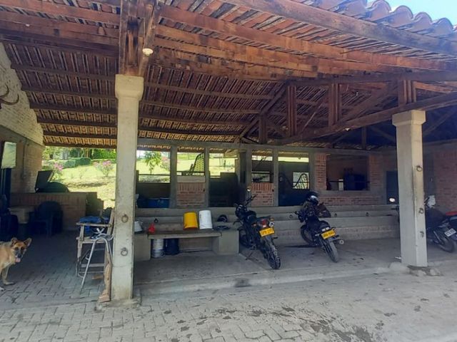 place photo 36