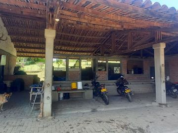 place photo 36