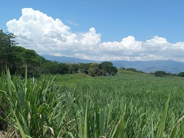 place photo 33
