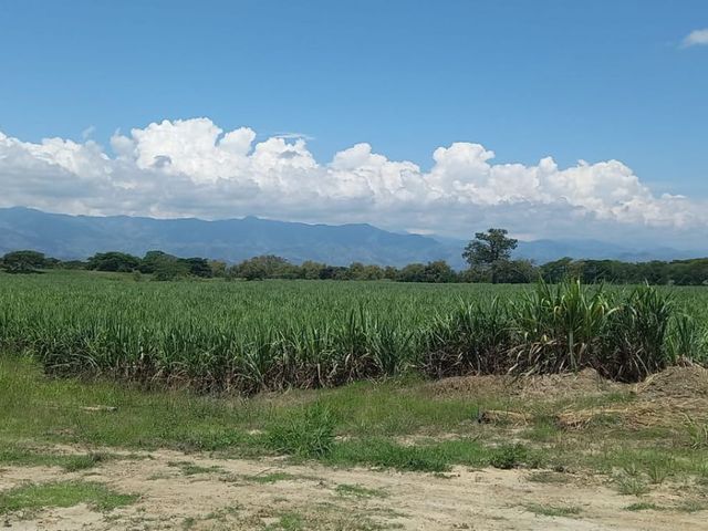 place photo 31