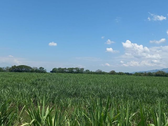 place photo 28
