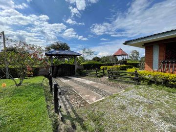 place photo 48