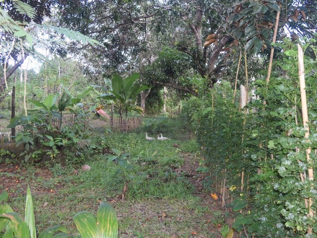 place photo 69