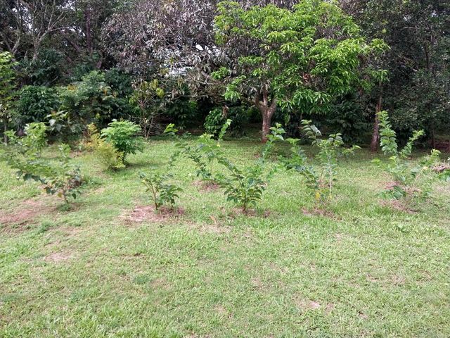 place photo 53