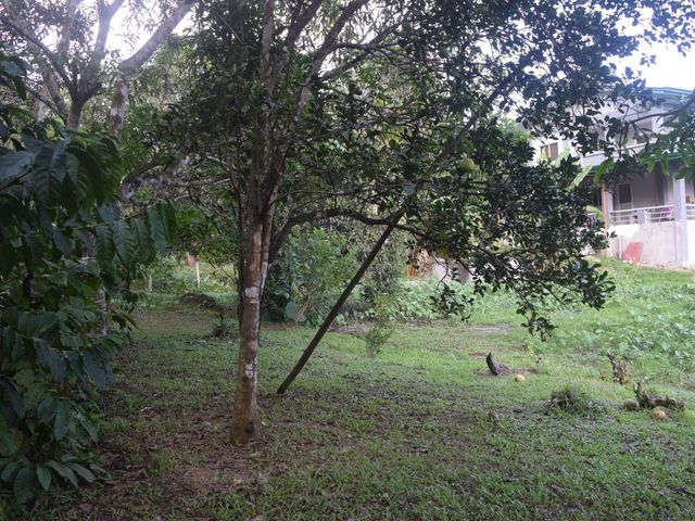 place photo 79
