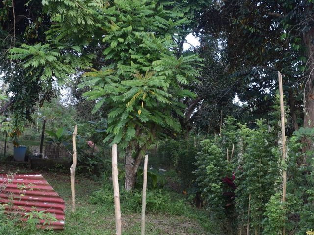 place photo 68