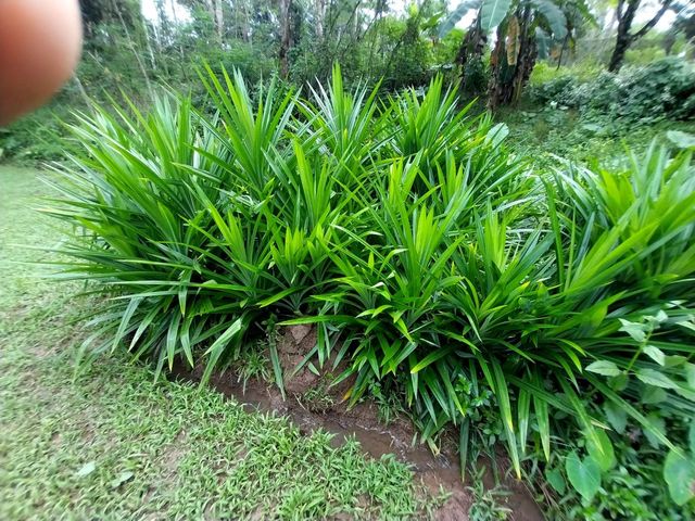 place photo 56