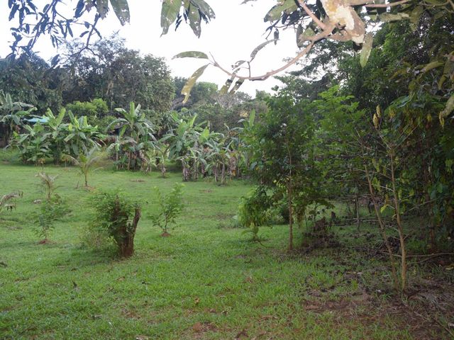 place photo 80