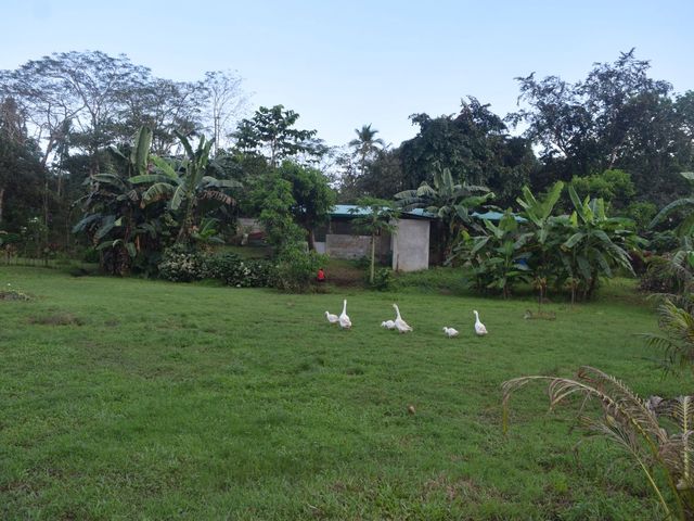 place photo 77