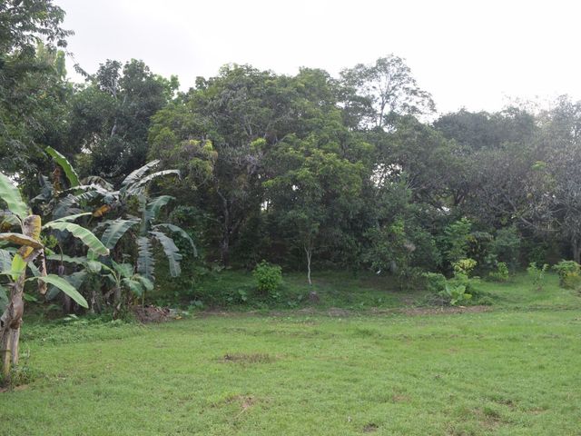 place photo 66