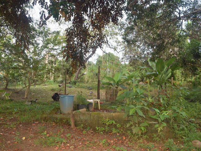 place photo 70