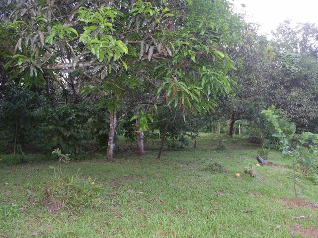 place photo 78